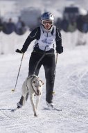 Lenk 2013